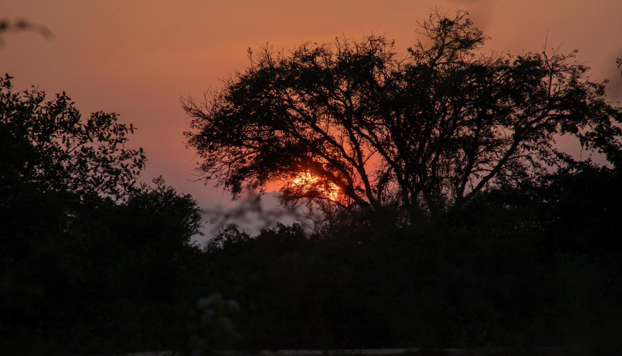 Yala Podi Hoona Bush Camp Hotell Exteriör bild