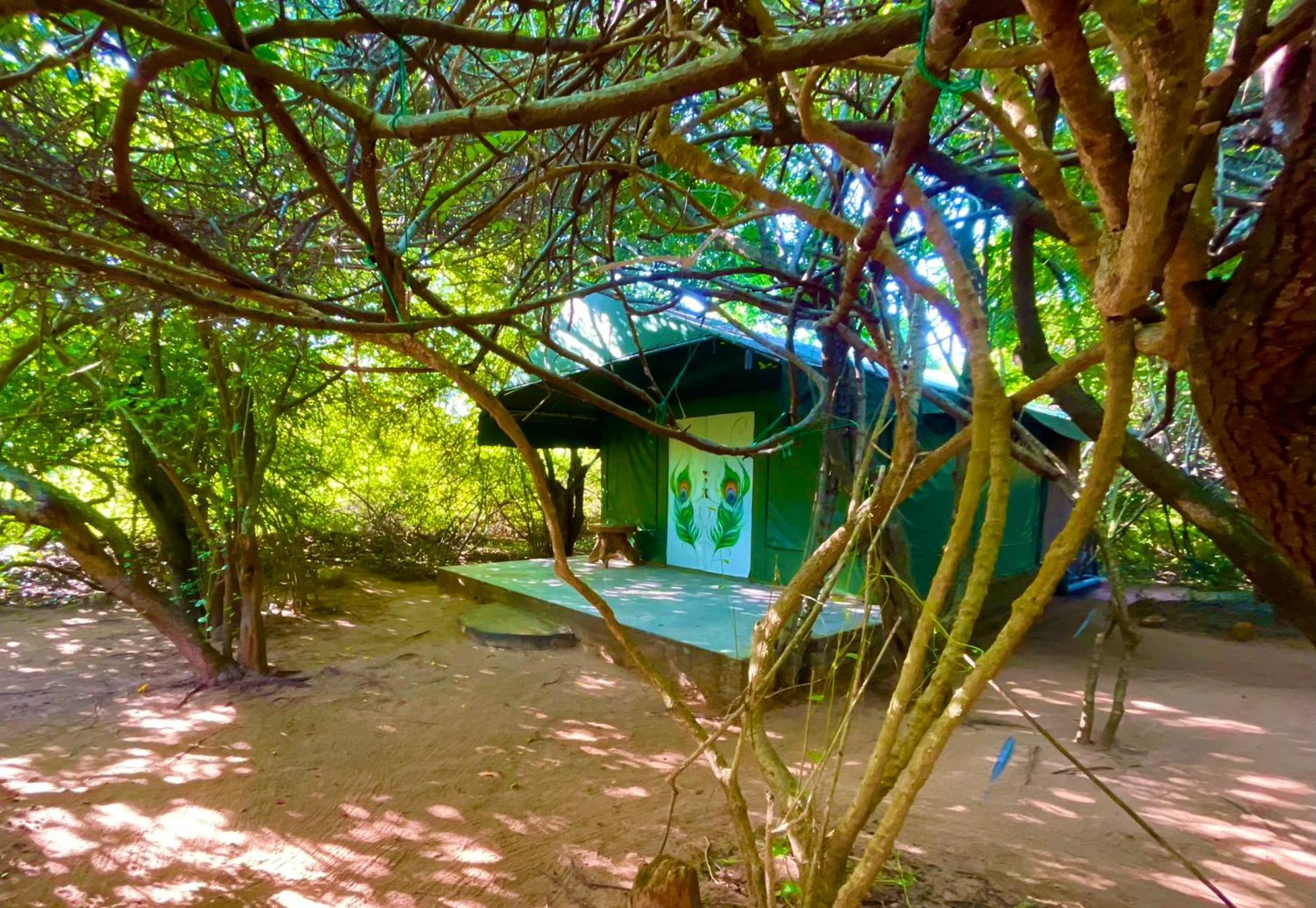 Yala Podi Hoona Bush Camp Hotell Exteriör bild